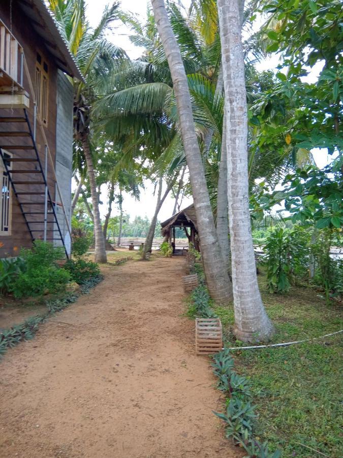 Coconut Island Yala Safari Place Tissamaharama Exterior foto